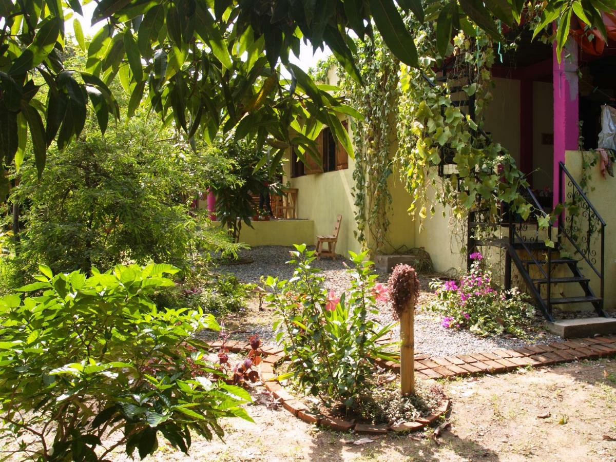 Sistarasta Hotel Palomino Luaran gambar